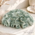 Seaform Coral Accent