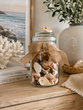 Decorative seashell glass jar with natural bow styled on a timber console in a coastal home